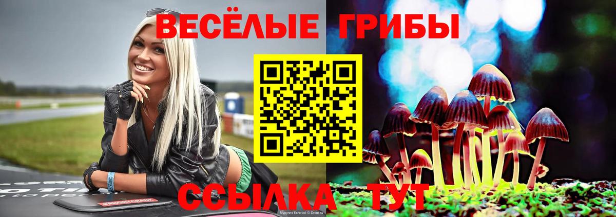 наркотики  Вход с VPN  Галлюциногенные грибы прущие грибы  Домодедово  Галлюциногенные грибы MAGIC MUSHROOMS 